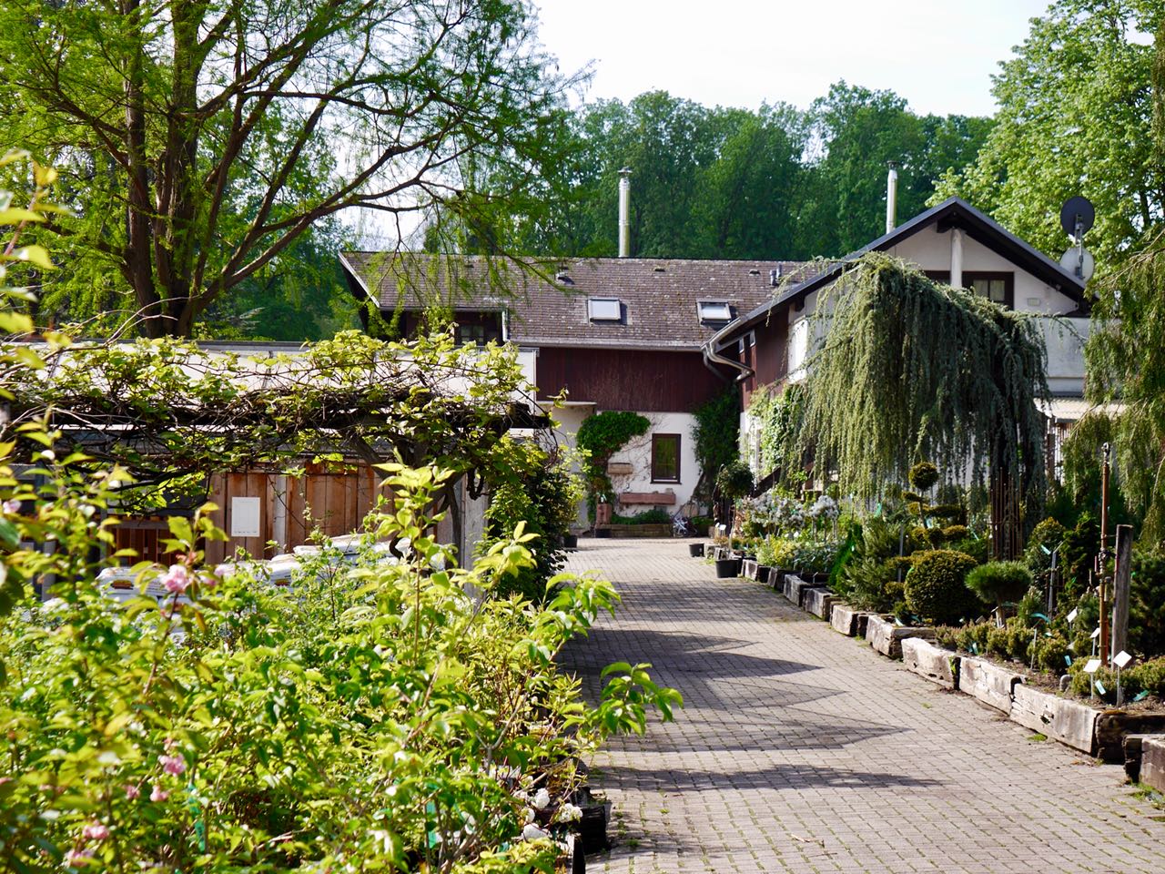 Baumschule Baumschule Vonderstrass